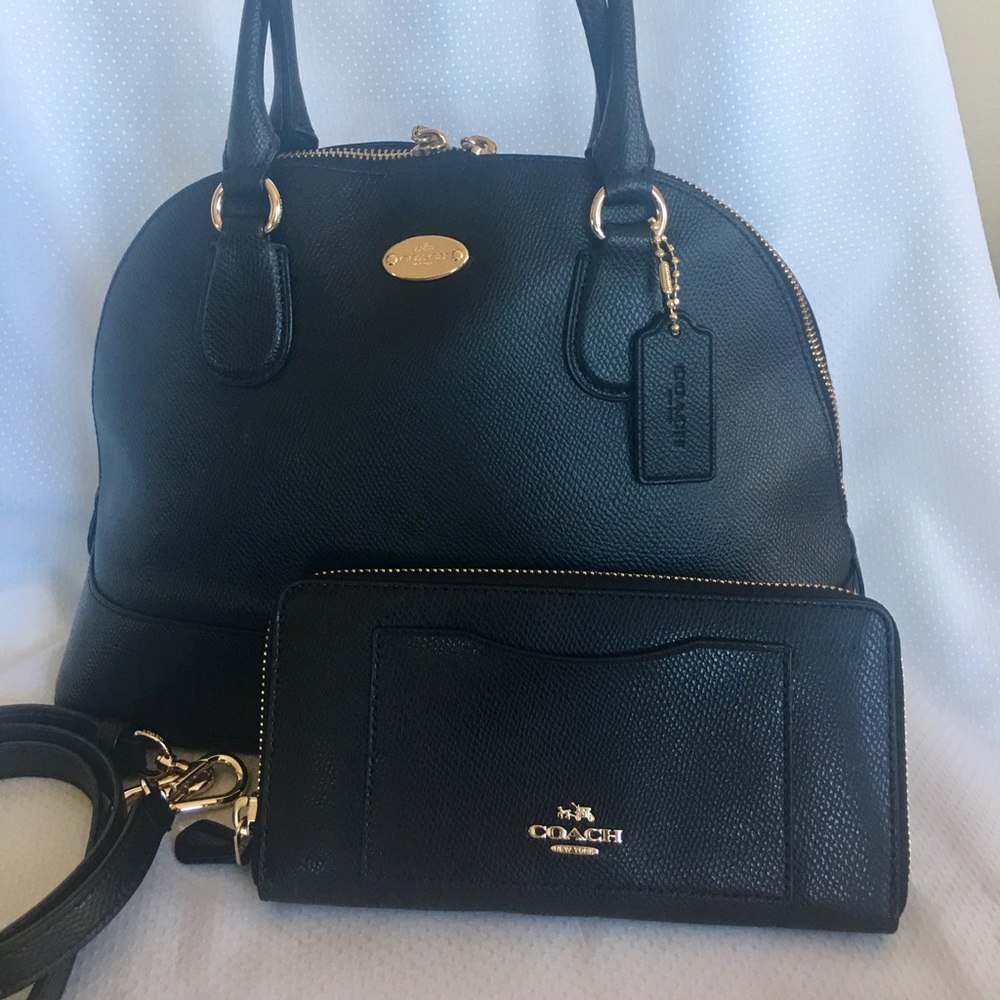 Coach handbag and Wallet